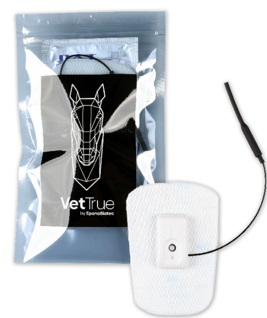 Vettrue Krpertemperaturmonitoring Pferd