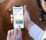 Vettrue Krpertemperaturmonitoring Pferd
